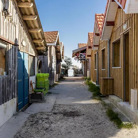 Cap Ferret - Cabane Mimallan Coeur Du Village De Piraillan 8 Personnes *