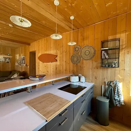 Cap Ferret - Cabane Mimallan Coeur Du Village De Piraillan 8 Personnes *